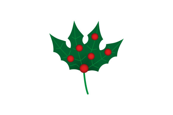 Christmas Illustration Mistletoe Leaf for Branding and Design
